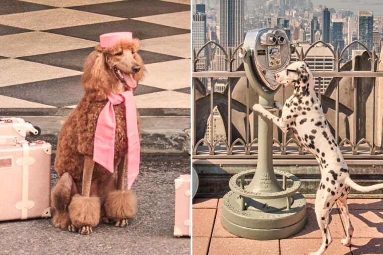 Designer dogs have descended on NYC landmarks — and the photos are adorable

