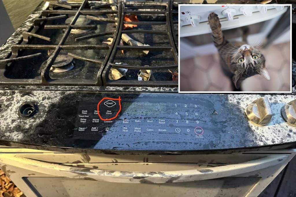 How a family's cat lit an oven - and almost burned down a house