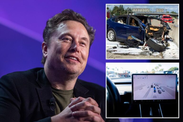 Elon Musk's Tesla unveils robotaxi with 'black box' artificial intelligence technology amid safety concerns

