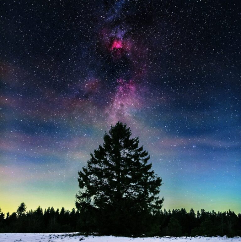 The Fear of Being Left Out Is Real and Is Costing You Your Peace of Mind